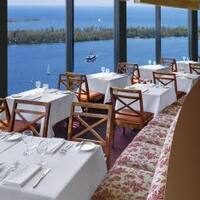 toula westin harbourfront